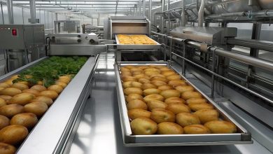 from-farm-to-fork:-how-technology-is-revolutionizing-the-food-industry