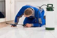 professional-pest-control-in-london-–-trust-panther-pest-control