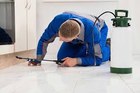 professional-pest-control-in-london-–-trust-panther-pest-control