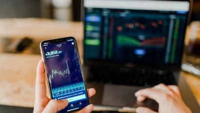 bitwavereactionai-review-canada-2025:-how-does-it-work?